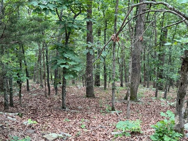 0000 NC 3920 Road, Marble Falls, AR 72648