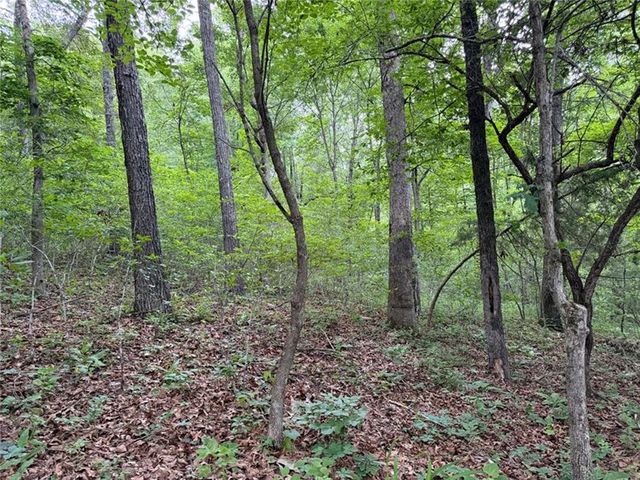 0000 NC 3920 Road, Marble Falls, AR 72648