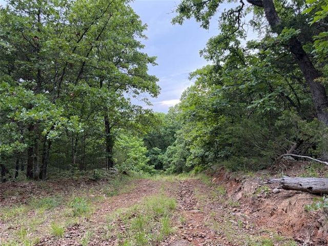 0000 NC 3920 Road, Marble Falls, AR 72648