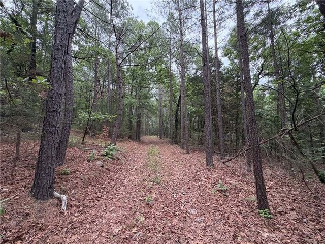 0000 NC 3920 Road, Marble Falls, AR 72648
