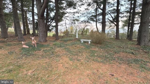234 HOPEWELL RD, Clear Brook, VA 22624