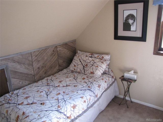 1087 Pulver Rd, Lake George, CO 80827