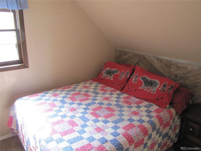 1087 Pulver Rd, Lake George, CO 80827