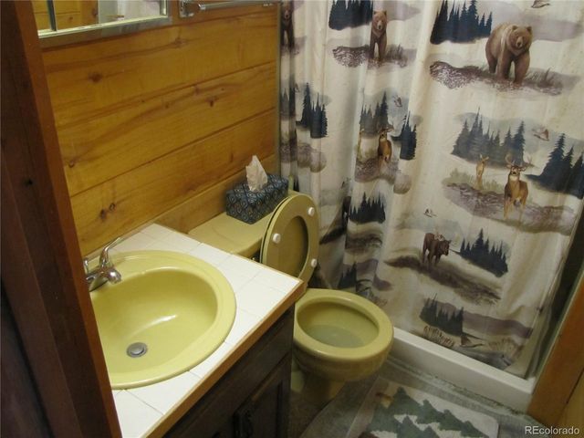 1087 Pulver Rd, Lake George, CO 80827