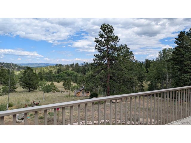1087 Pulver Rd, Lake George, CO 80827