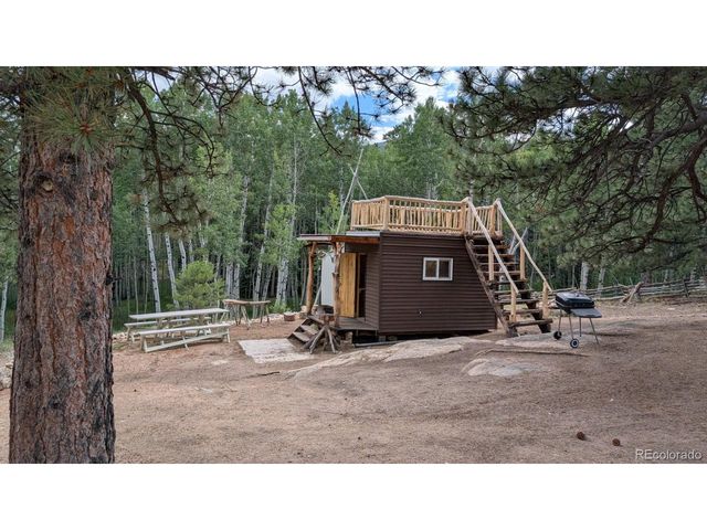 1087 Pulver Rd, Lake George, CO 80827