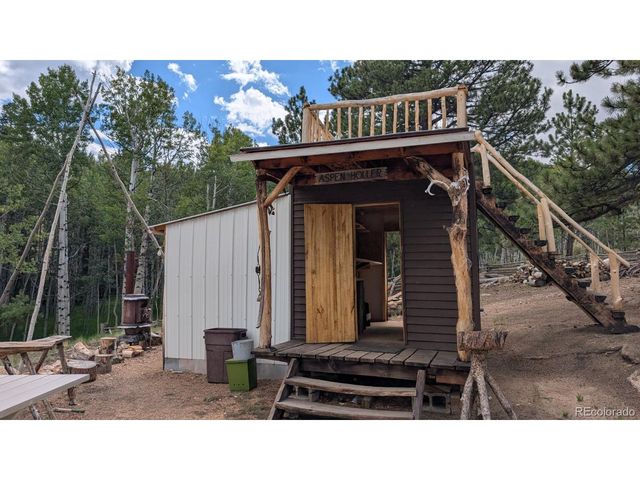 1087 Pulver Rd, Lake George, CO 80827