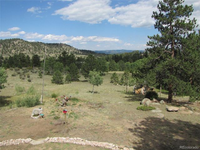 1087 Pulver Rd, Lake George, CO 80827