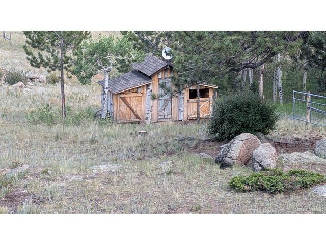 1087 Pulver Rd, Lake George, CO 80827