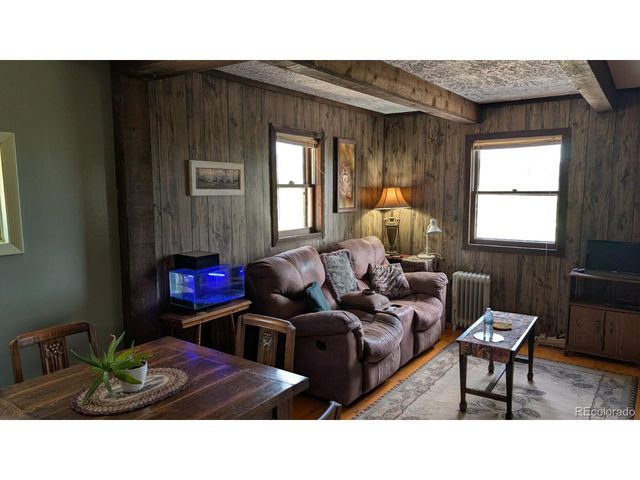 1087 Pulver Rd, Lake George, CO 80827