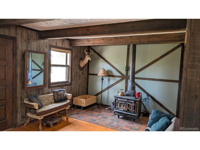 1087 Pulver Rd, Lake George, CO 80827