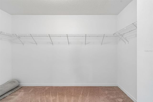 6105 MERRIFIELD DRIVE, Zephyrhills, FL 33541