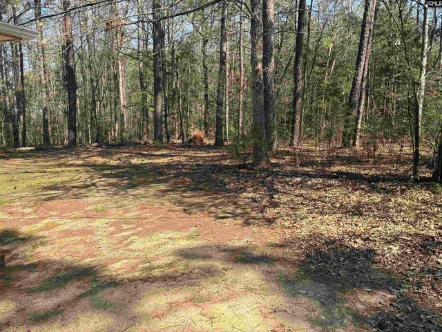 768 Dr Bowers Rd, Little Mountain, SC 29075