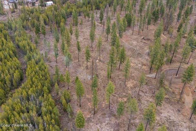 L5 B1 Wallace Lane, Blanchard, ID 83804