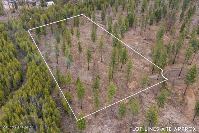 L5 B1 Wallace Lane, Blanchard, ID 83804