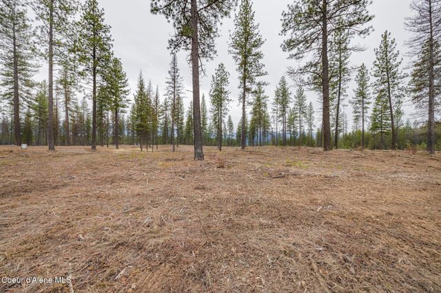 L5 B1 Wallace Lane, Blanchard, ID 83804