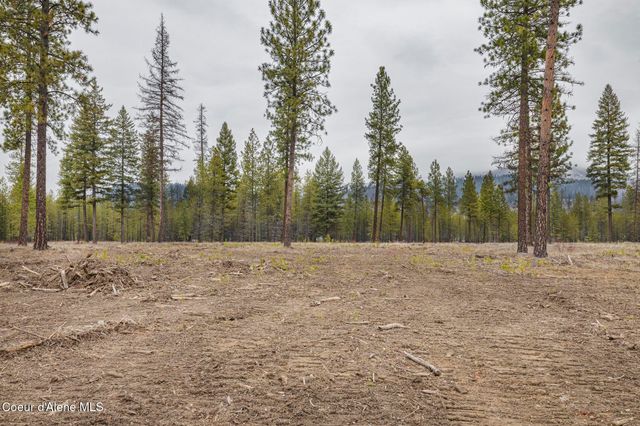 L5 B1 Wallace Lane, Blanchard, ID 83804