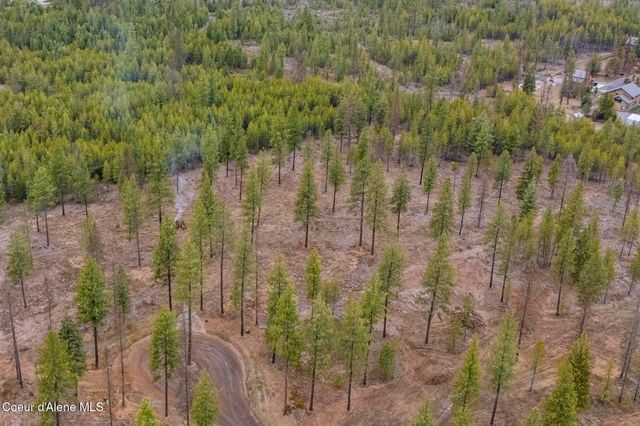 L5 B1 Wallace Lane, Blanchard, ID 83804