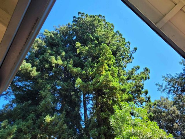 16885 Laurel Road, Los Gatos, CA 95033