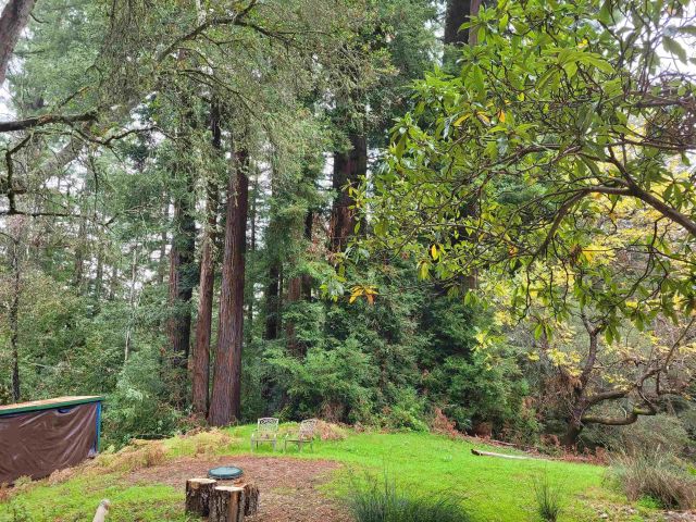 16885 Laurel Road, Los Gatos, CA 95033