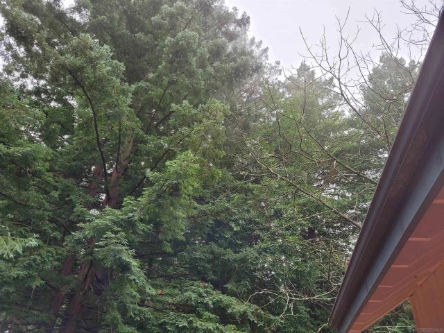 16885 Laurel Road, Los Gatos, CA 95033