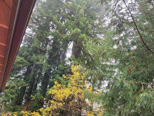 16885 Laurel Road, Los Gatos, CA 95033