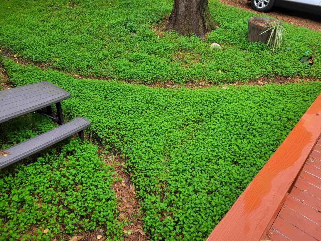 16885 Laurel Road, Los Gatos, CA 95033