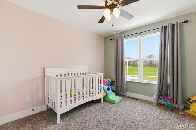 6104 Old Red Bud Road, Waterloo, IL 62298