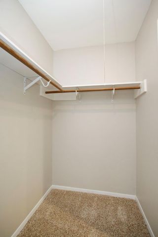 603 Shenandoah Drive, Shenandoah, TX 77381