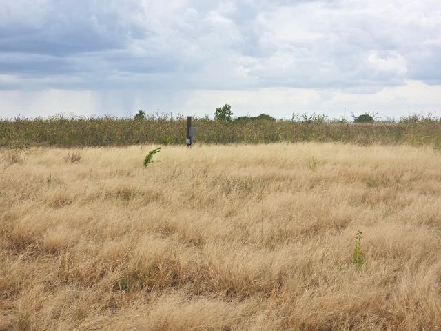375 Fm 3049, Blum, TX 76627