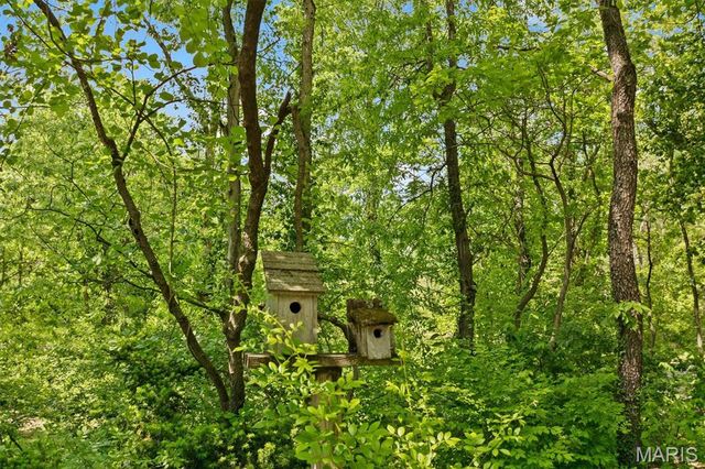 103 Alpine Lane, Caseyville, IL 62232