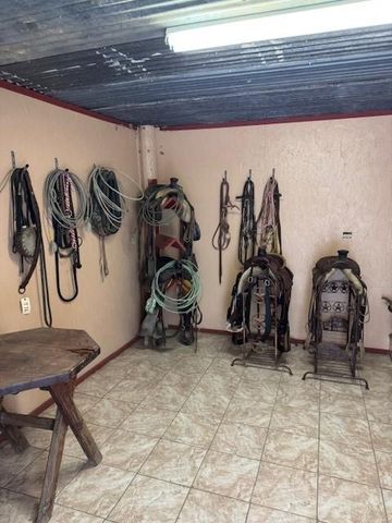 4856 N Fm 356, Onalaska, TX 77360