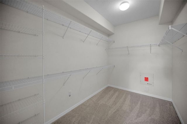 12021 FERN TERRACE COURT, Trinity, FL 34655