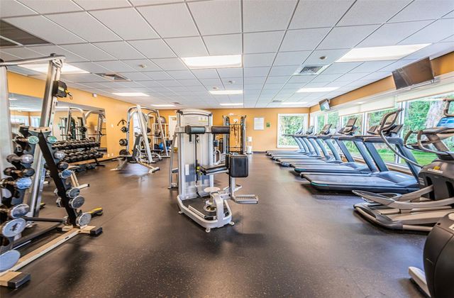 12021 FERN TERRACE COURT, Trinity, FL 34655