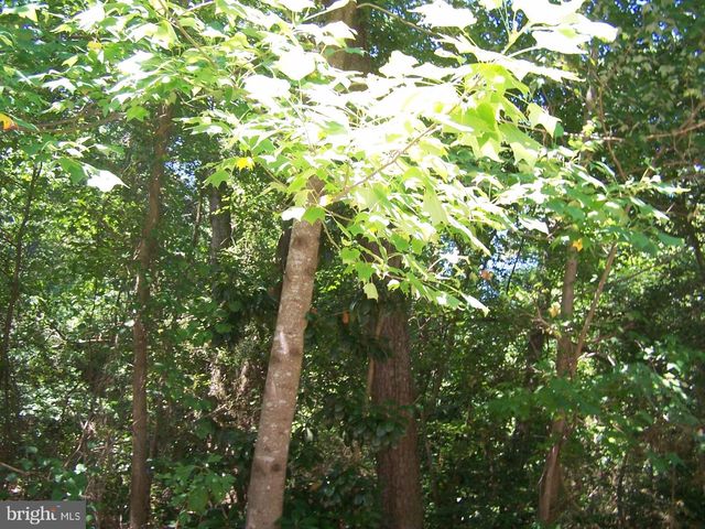 LOT 2 CAT BOAT ALLEY, Seaford, DE 19973