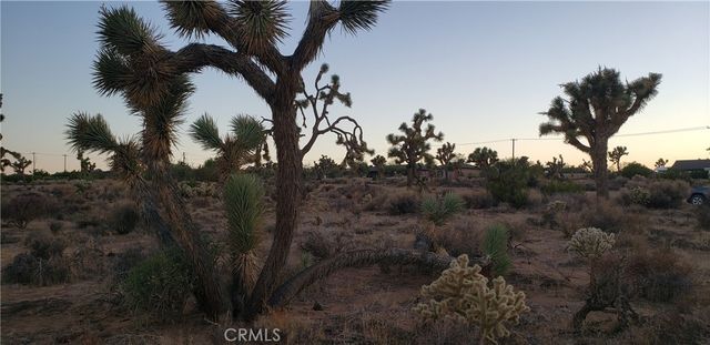 1234 Canton Street, Yucca Valley, CA 92284