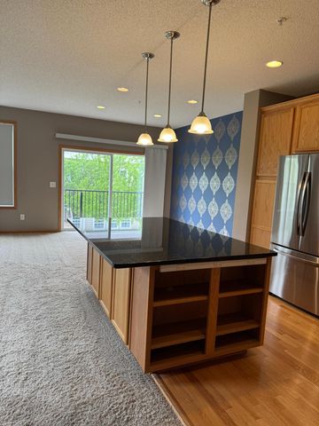 2429 121st Circle NE L, Blaine, MN 55449