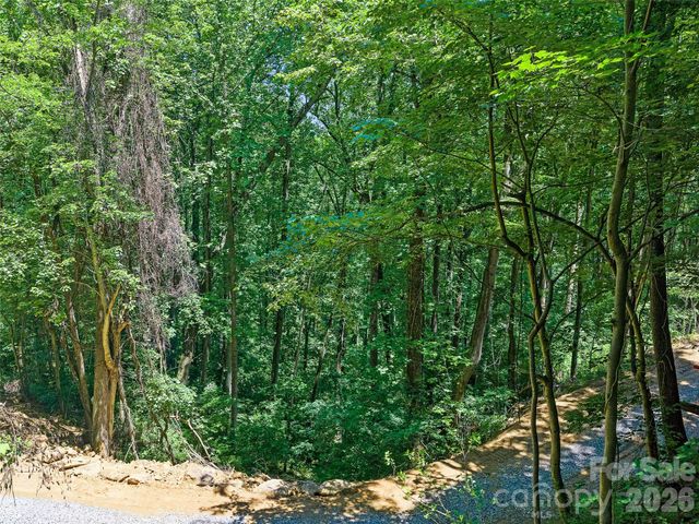 9999 Lovebird Lane 19, Candler, NC 28715
