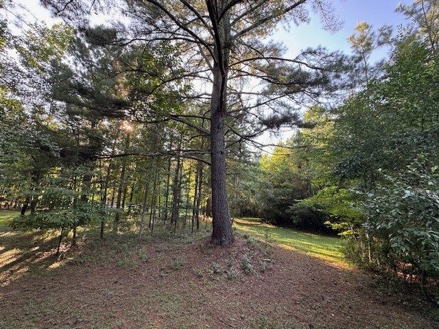 1.18 Newberry Drive, Mineral Bluff, GA 30559