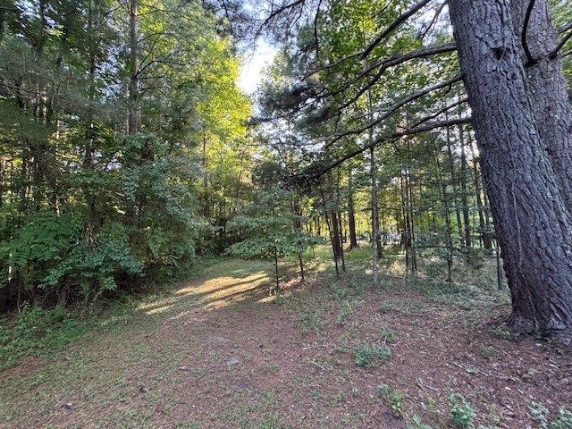 1.18 Newberry Drive, Mineral Bluff, GA 30559