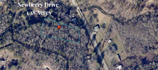 1.18 Newberry Drive, Mineral Bluff, GA 30559