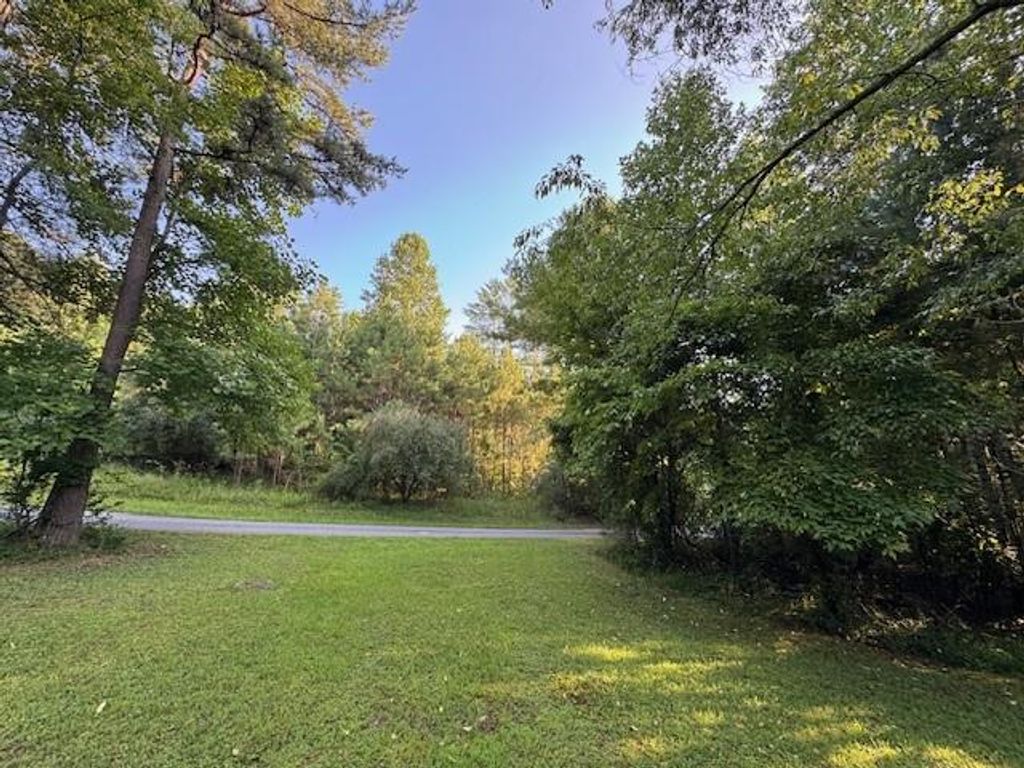 1.18 Newberry Drive, Mineral Bluff, GA 30559