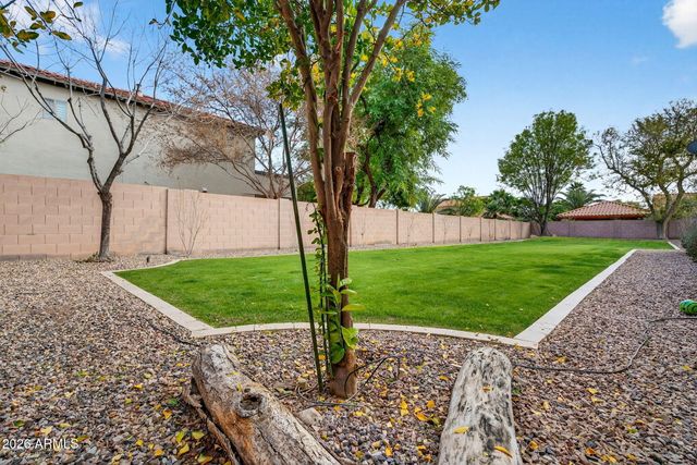 11635 E BELLFLOWER Drive, Chandler, AZ 85249