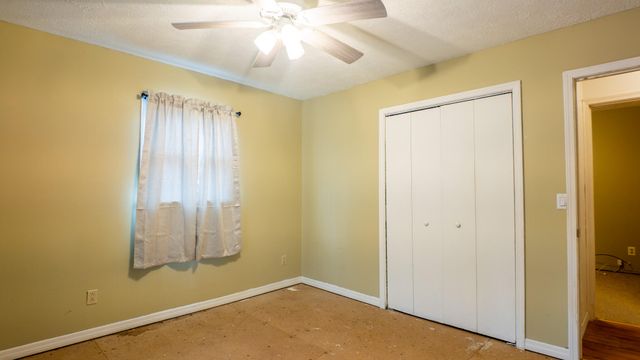 204 County Road 339, Alton, MO 65606