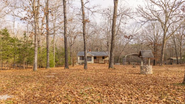 204 County Road 339, Alton, MO 65606