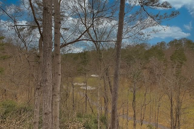 44 Channel Lane, Salem, SC 29676
