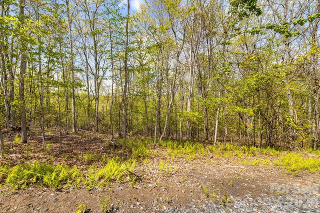 Lot 27 Trails End Road 27, Spruce Pine, NC 28714
