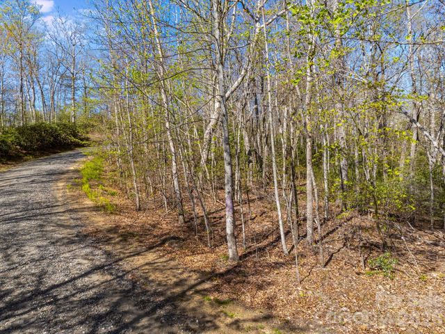 Lot 27 Trails End Road 27, Spruce Pine, NC 28714