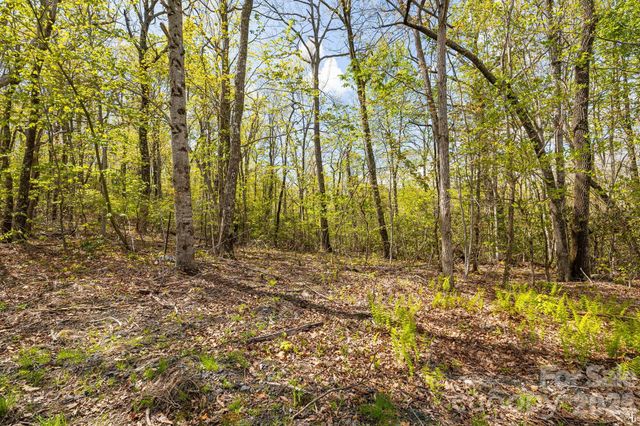 Lot 27 Trails End Road 27, Spruce Pine, NC 28714
