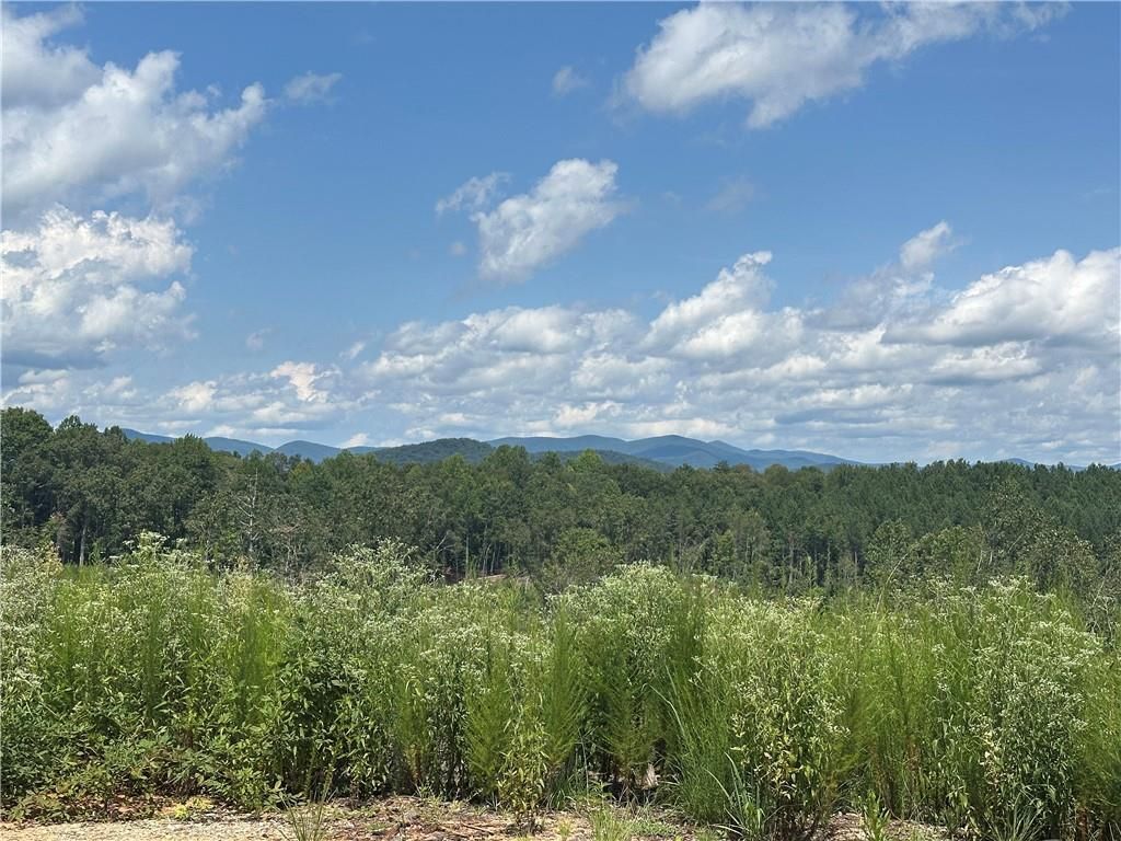 Image 1 of property listing at 0 Larmon Forks Road, Dahlonega, GA 30533